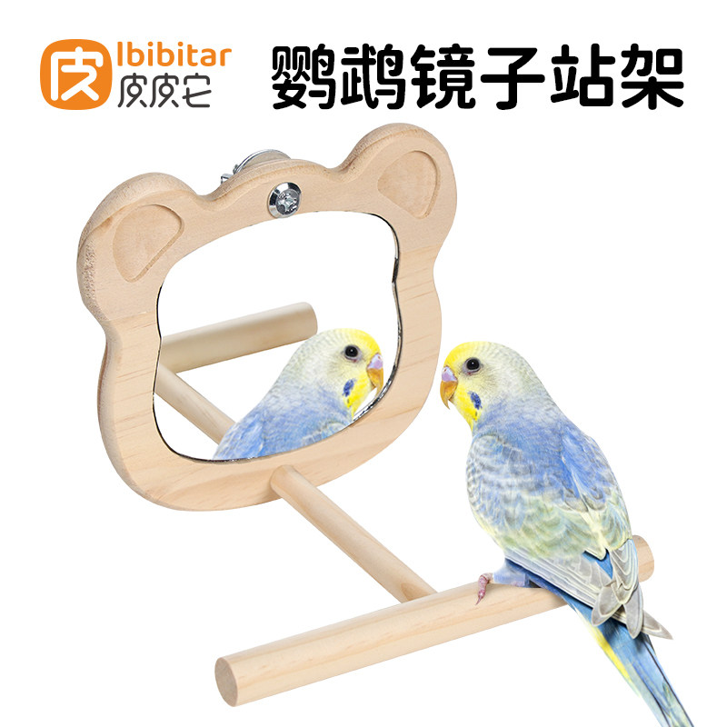 鹦鹉玩具镜子原木实木花椒木站架站杆站台花椒木解闷自嗨互动玩具图片