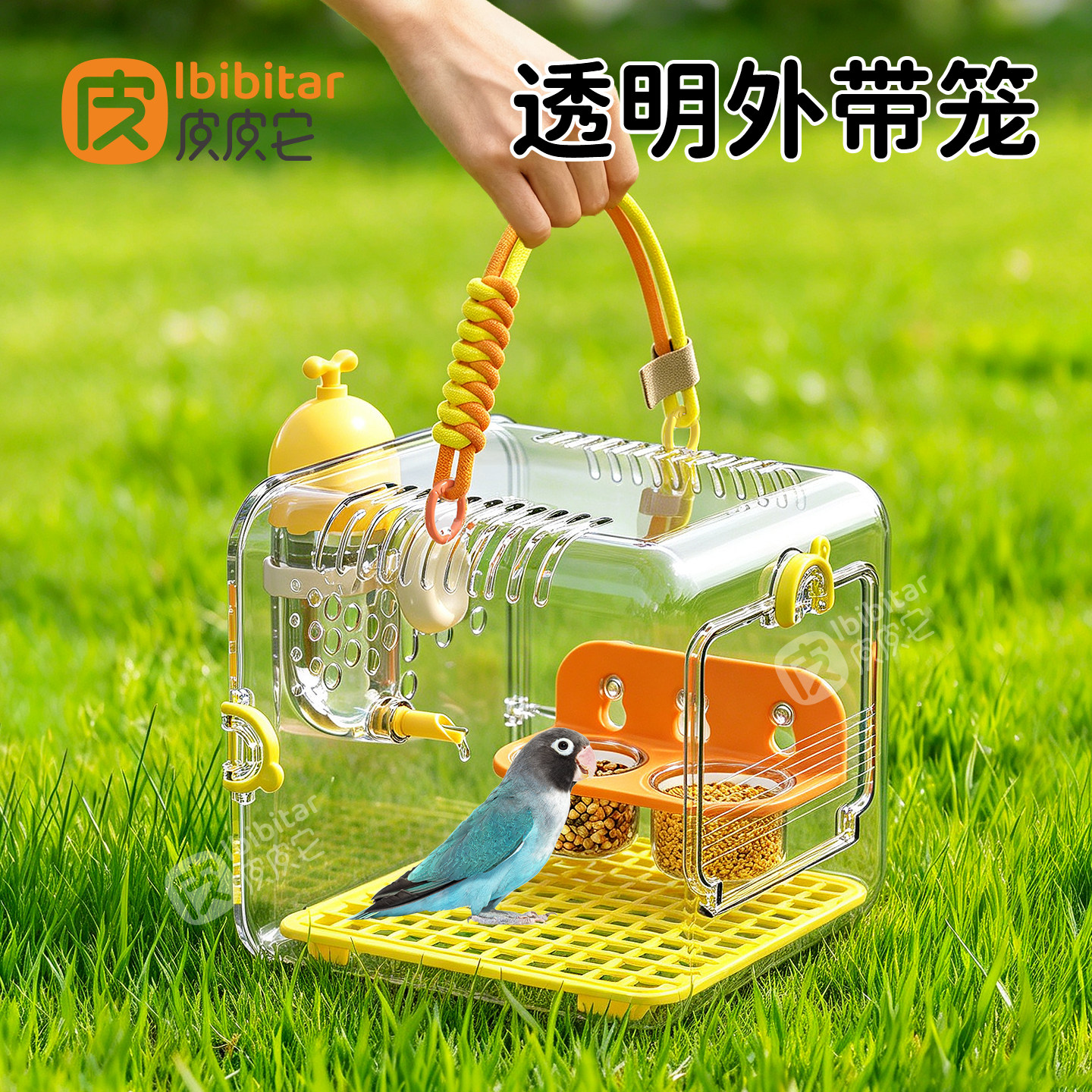 鹦鹉外带笼透明全景户外便携斜跨背带小型专用外带观赏外出鸟笼