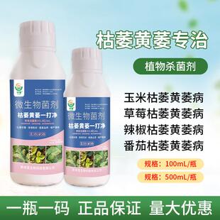 枯萎黄萎一打净辣椒番茄茄子西瓜枯萎黄萎病专用植物通用一瓶一码