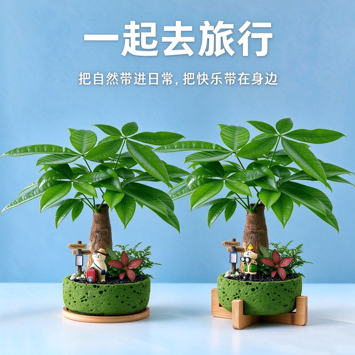 发财树盆栽室内花客厅办公室绿植好养桌面招财旺宅植物生日送礼物