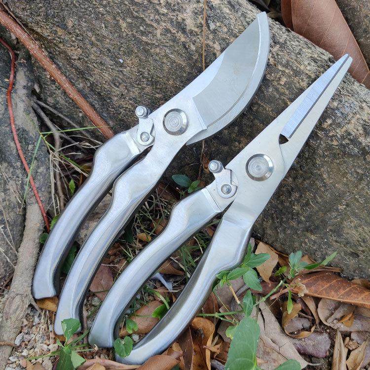 德国不锈钢强力园林园艺修枝剪葡萄蔬果摘果剪刀修花修剪树枝工具,居家日用,园艺刀剪,淘宝优惠券,粉丝福利购,淘宝优惠卷