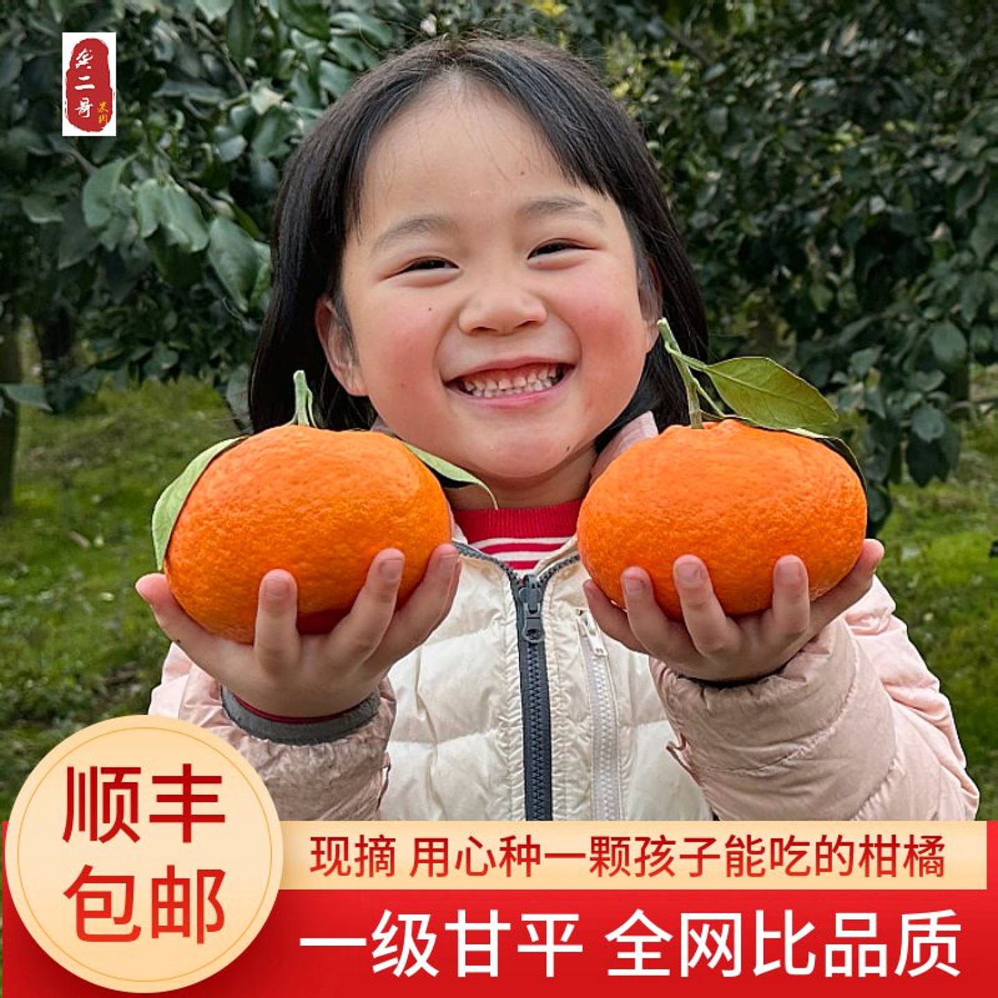 正宗四川甘平柑橘皇后特大果小金牛橘子礼盒柑平橘子新鲜水果顺丰,水产肉类/新鲜蔬果/熟食,桔子,淘宝优惠券,粉丝福利购,淘宝优惠卷