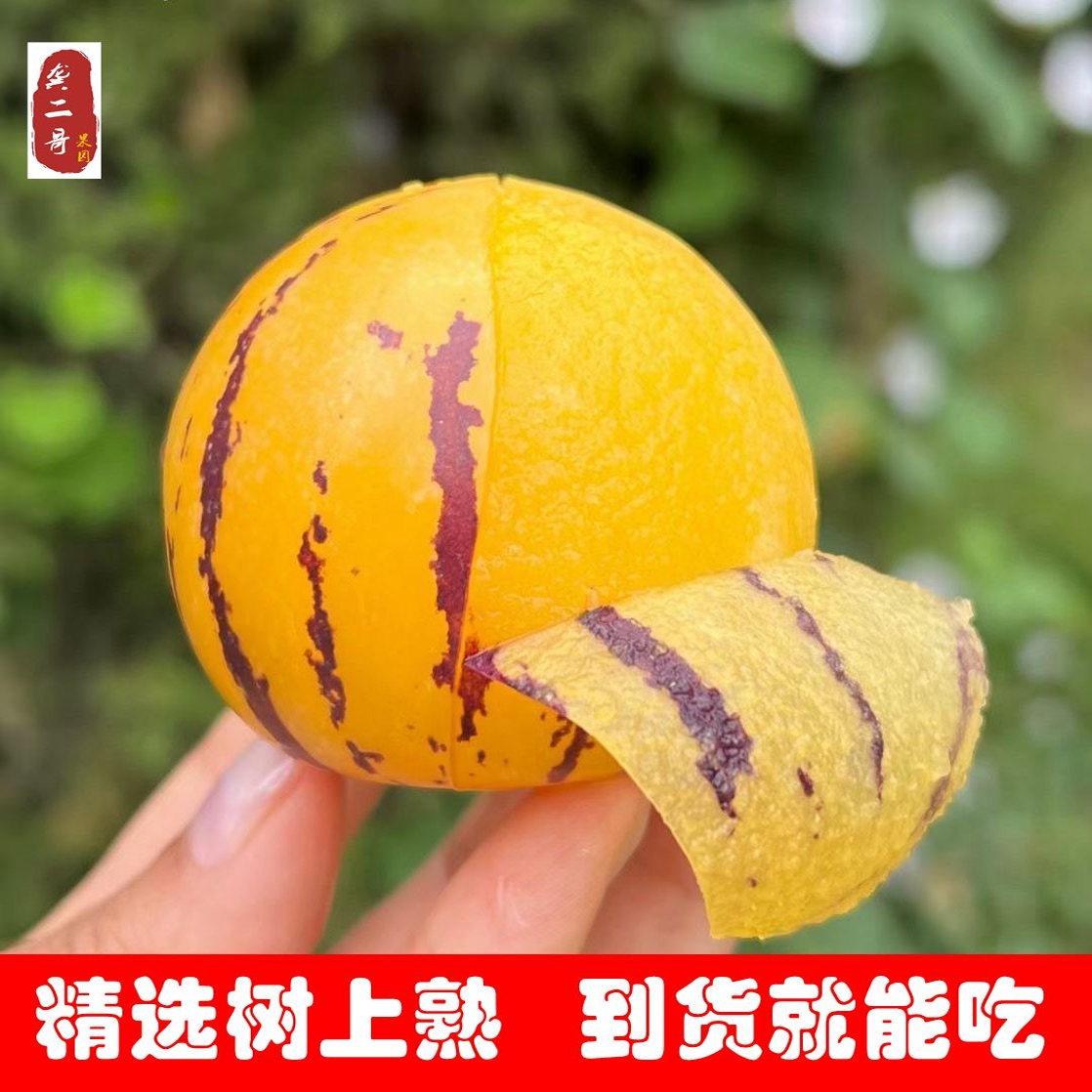 云南树熟黄肉人参果圆果京东包邮