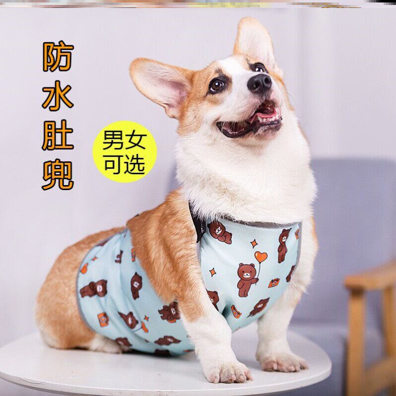 宠物肚兜护肚子衣服狗狗防水雨衣春秋保暖柯基专用防脏夏季防着凉