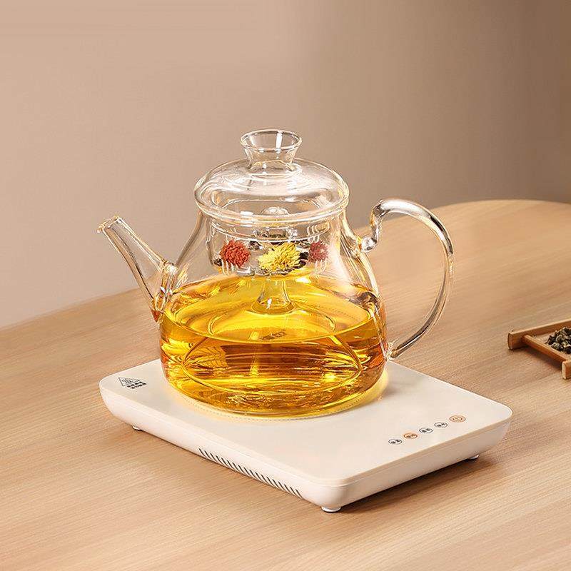 .震普 WJ- B390_1603050646小型烧水壶泡茶专用电热水壶家用煮茶