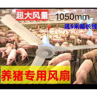 猪圈吊扇电风扇羊圈牛场专用养殖猪舍工厂猪厂用降温大冷风猪解热