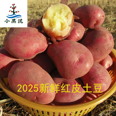云南红皮黄心土豆新鲜现挖洋芋蒸煮农家高原马铃薯云南高原小土豆