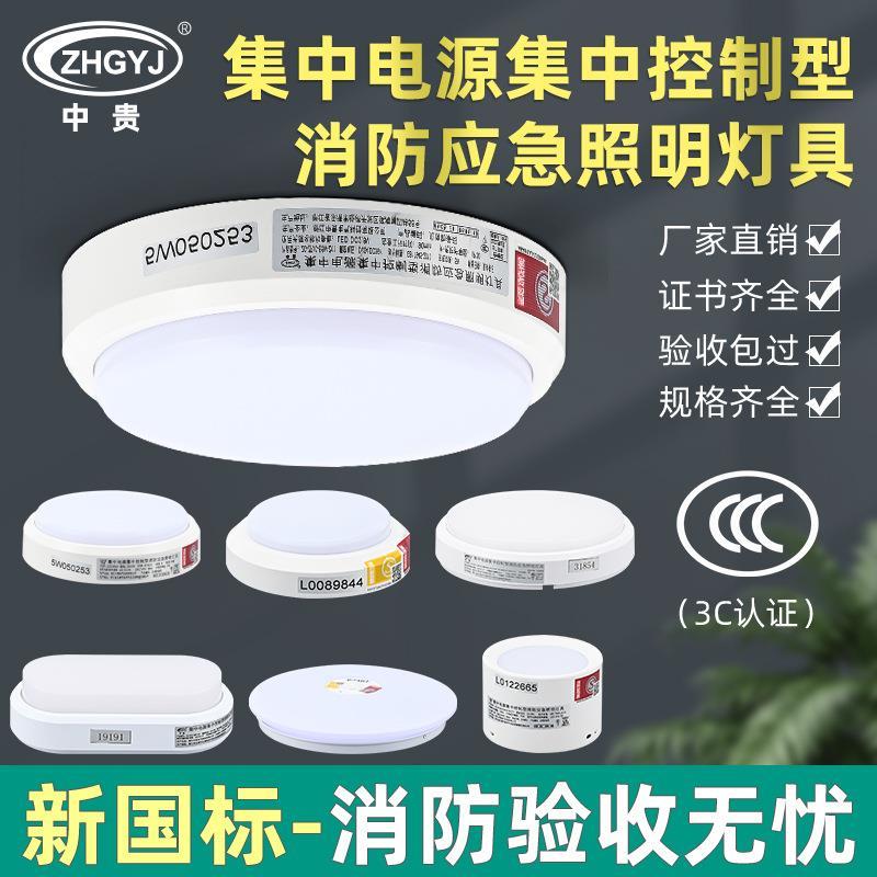 圆形吸顶照明灯 应急照明与疏散指示系统A型吸顶照明灯圆形