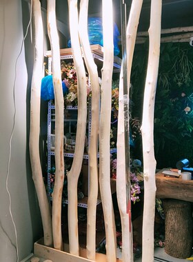 原木白桦木树干杉木去皮树干实木架子装饰隔断造型树干造景猫爬架