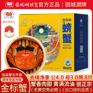 固城湖大闸蟹鲜活螃蟹现货公4两母3两8只高淳蟹中秋送礼 活蟹