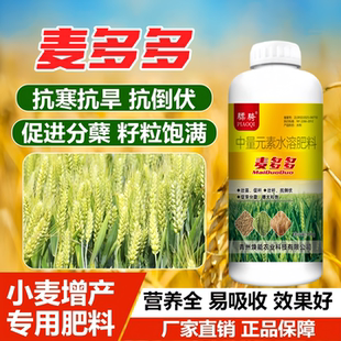 小麦升级加强款麦多多促分蘖多少根抗寒抗倒伏籽粒饱满叶面肥骠骑