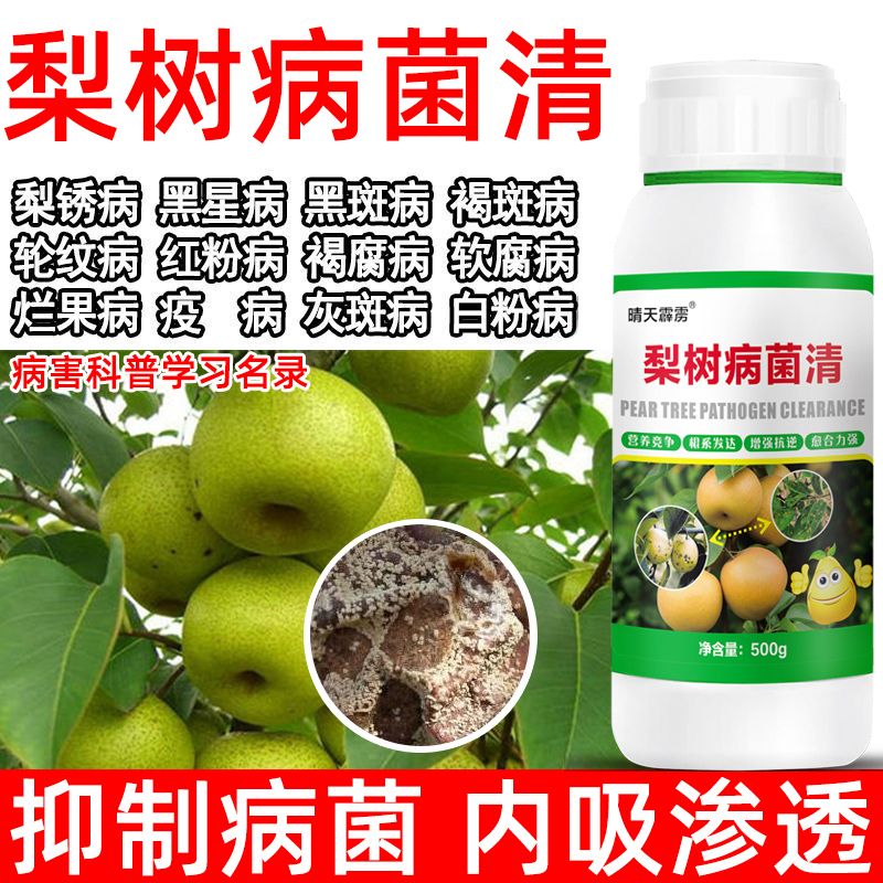 梨树病菌清梨树锈病轮纹病黑斑病白粉病专用药梨病害防治晴天霹雳