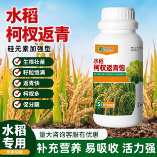 正品水稻柯杈返青宝生根壮苗返青快促分蘖籽粒饱满水稻专用新农友