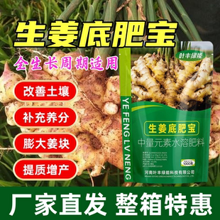 生姜底肥宝膨大姜块改善土壤补充养分增产增收耐储存肥料叶丰绿能