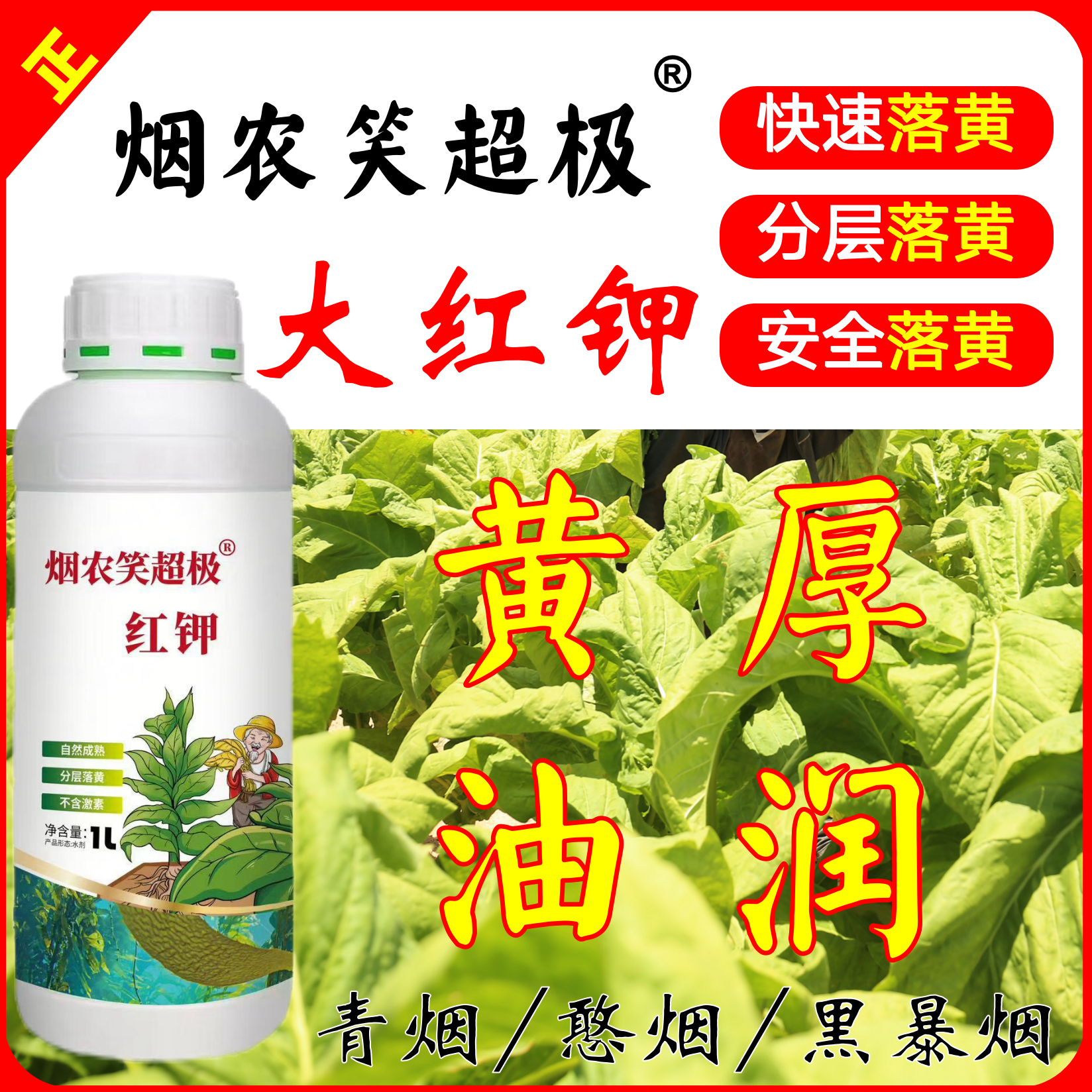 烤烟大红钾落黄钾肥烤烟落黄剂针对青烟憨烟黑暴烟分层落黄叶面肥
