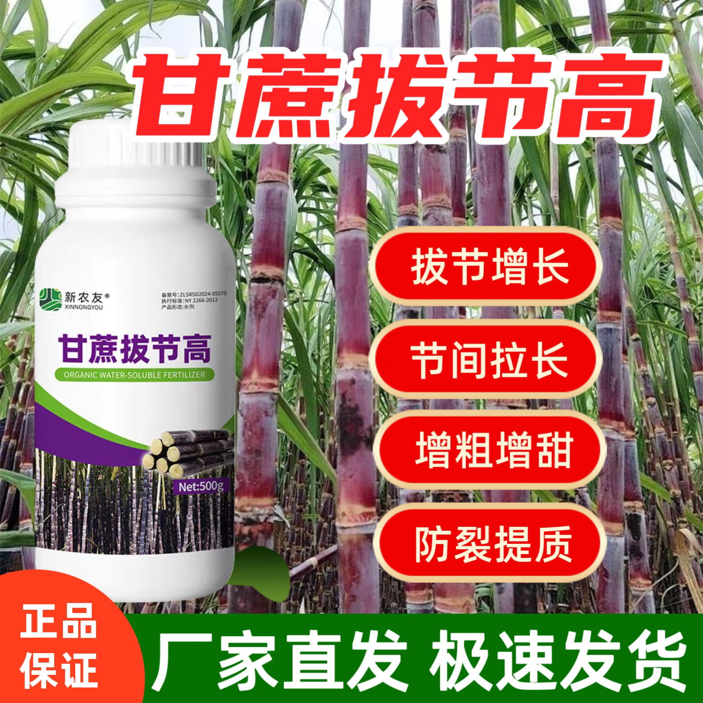 甘蔗拔节高促进生长拉长增粗甘蔗生长素增甜剂防裂拔节增产新农友
