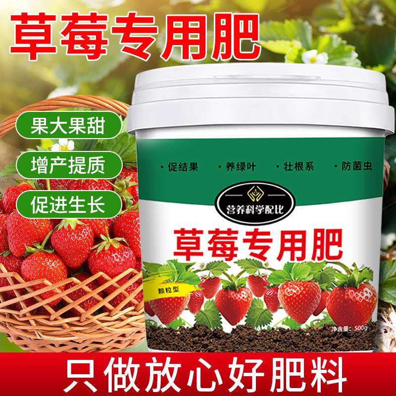 草莓专用肥料果大果甜增产延长坐果期家用盆栽有机颗粒缓释营养肥