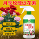 玫瑰月季 花肥料浓缩营养液专用催花素花卉盆栽绿植拯救黄叶液体肥