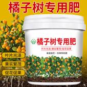 橘子树专用肥料果树颗粒缓释肥复合肥桔子柚子橙子有机化肥施肥