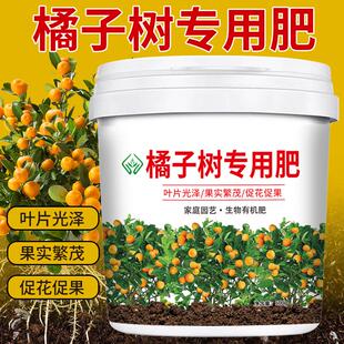 橘子树专用肥料果树颗粒缓释肥复合肥桔子柚子橙子有机化肥施肥