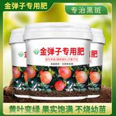 金弹子专用肥料乌柿黑塔子树桩有机肥盆栽老桩盆景复合肥缓释肥料