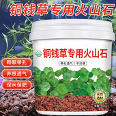 铜钱草专用天然火山石颗粒铺面石拌土鱼缸垫底多肉营养土火山岩