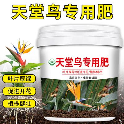 天堂鸟肥料专用肥营养颗粒缓释肥鹤望兰业主发黄卷边叶片开裂花肥