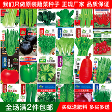 蔬菜水果种子阳台西瓜番茄香菜青菜萝卜生菜小葱菠菜籽菜种籽菜苗