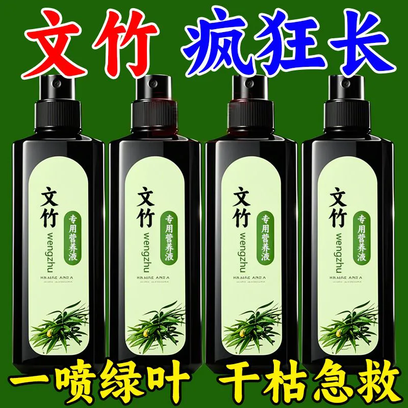 文竹专用营养液防黄叶干尖枯烂根