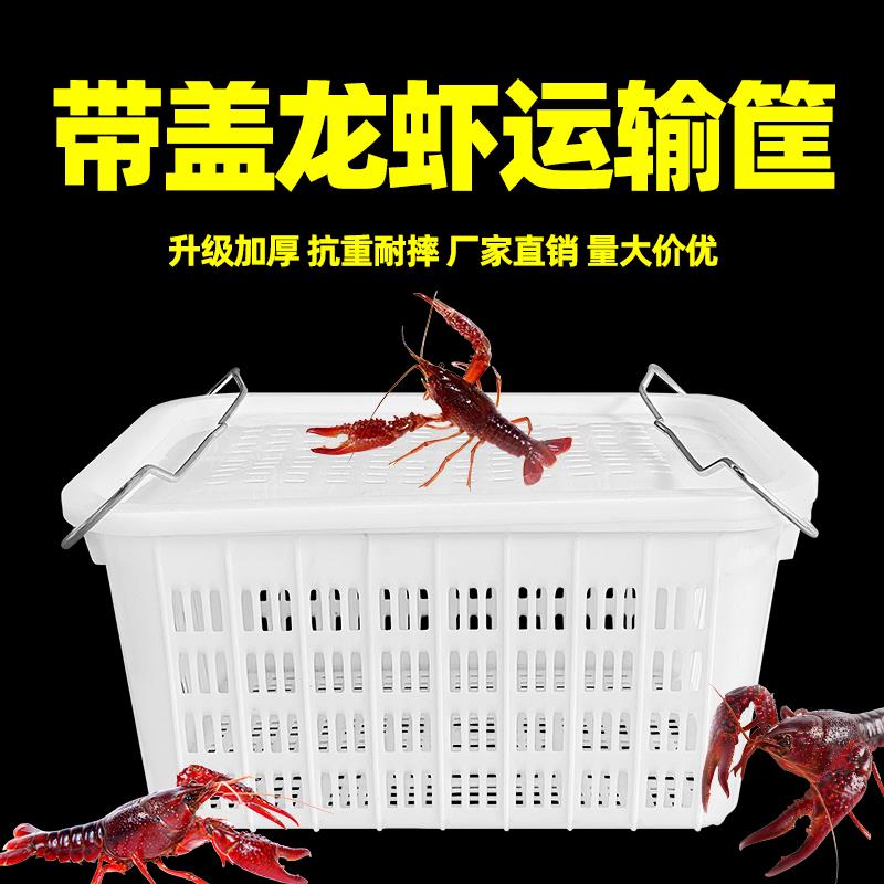 塑料筐带铁耳加厚水果蔬菜收纳箱周转筐长方形蔬菜镂空筐熟胶菜蓝