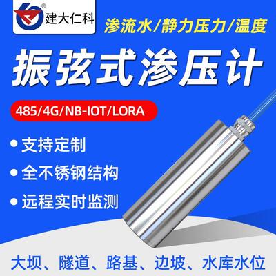 不锈钢振弦式渗压计 温度孔隙水位静力压力表渗流自动监测传感器