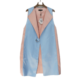 蓝色马甲 24年春款 洋气百搭女减龄时尚 50083 品牌精选女装