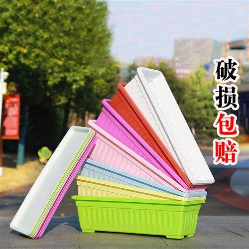 塑料花盆长方形种菜盆阳台室内蔬菜种植花盆加厚大号家庭种菜盆,鲜花速递/花卉仿真/绿植园艺,花盆,淘宝优惠券,粉丝福利购,淘宝优惠卷