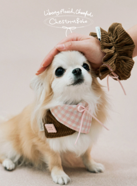 ChestnutBabe Lulicore亲子口水巾发圈套装 原创狗狗猫咪可爱围脖