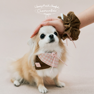 ChestnutBabe Lulicore亲子口水巾发圈套装 原创狗狗猫咪可爱围脖