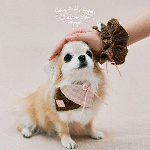 ChestnutBabe Lulicore亲子口水巾发圈套装 原创狗狗猫咪可爱围脖