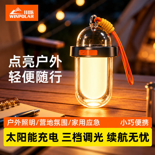 多功能户外LED照明露营灯帐篷灯复古营地火焰萤火虫灯野外氛围