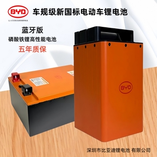 BYD比亚迪48V60V72V外卖两轮三轮低速四轮电动车电池磷酸铁锂电池