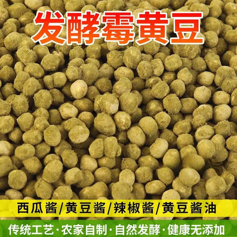 新货农家自然发酵霉黄豆捂黄豆可做西瓜酱豆瓣酱黄豆鼓酱油辣椒酱