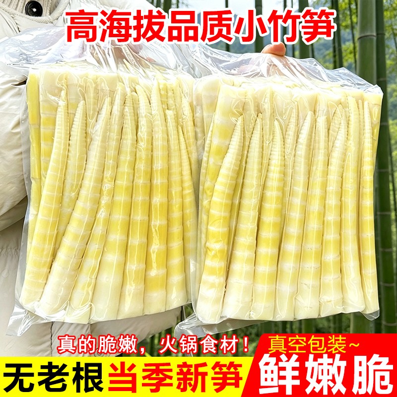 四川高山去壳新鲜竹笋嫩笋尖清水笋火锅笋脆嫩食材