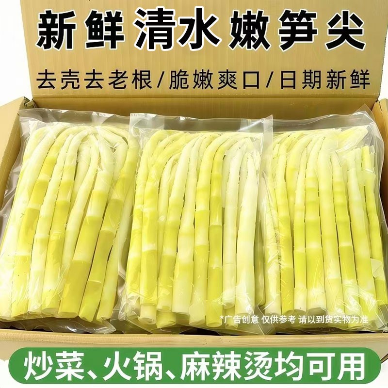 江西小笋新鲜小竹笋嫩笋尖清水笋尖罗汉笋袋装新鲜脆嫩火锅饭店
