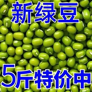 【净重5斤】东北新鲜小绿豆颗粒饱满可发芽适合熬粥煲汤营养丰富