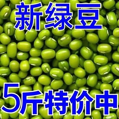 【净重5斤】东北新鲜小绿豆颗粒饱满可发芽适合熬粥煲汤营养丰富