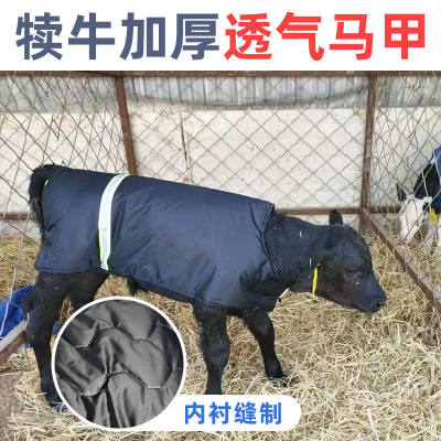 牛犊保暖马甲加大防水防寒马甲犊牛服外套加厚保暖加绒犊牛保温服