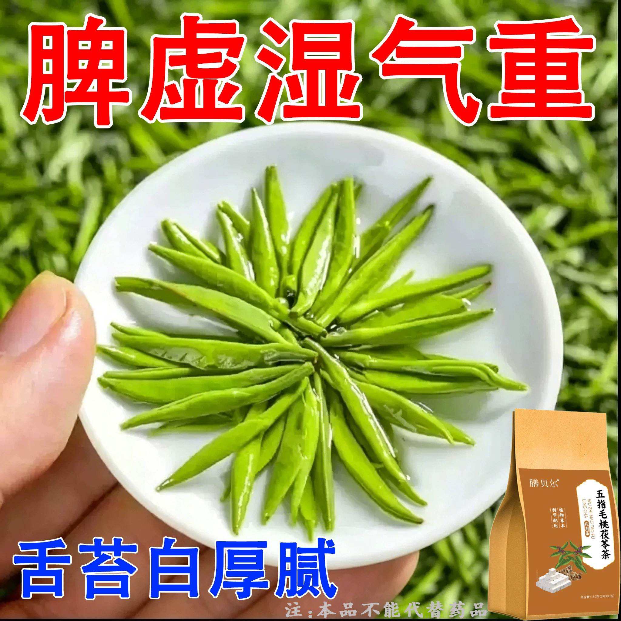 【严重湿寒】舌头白厚腻发黄口苦口干湿寒湿热显气重湿胖肚子大