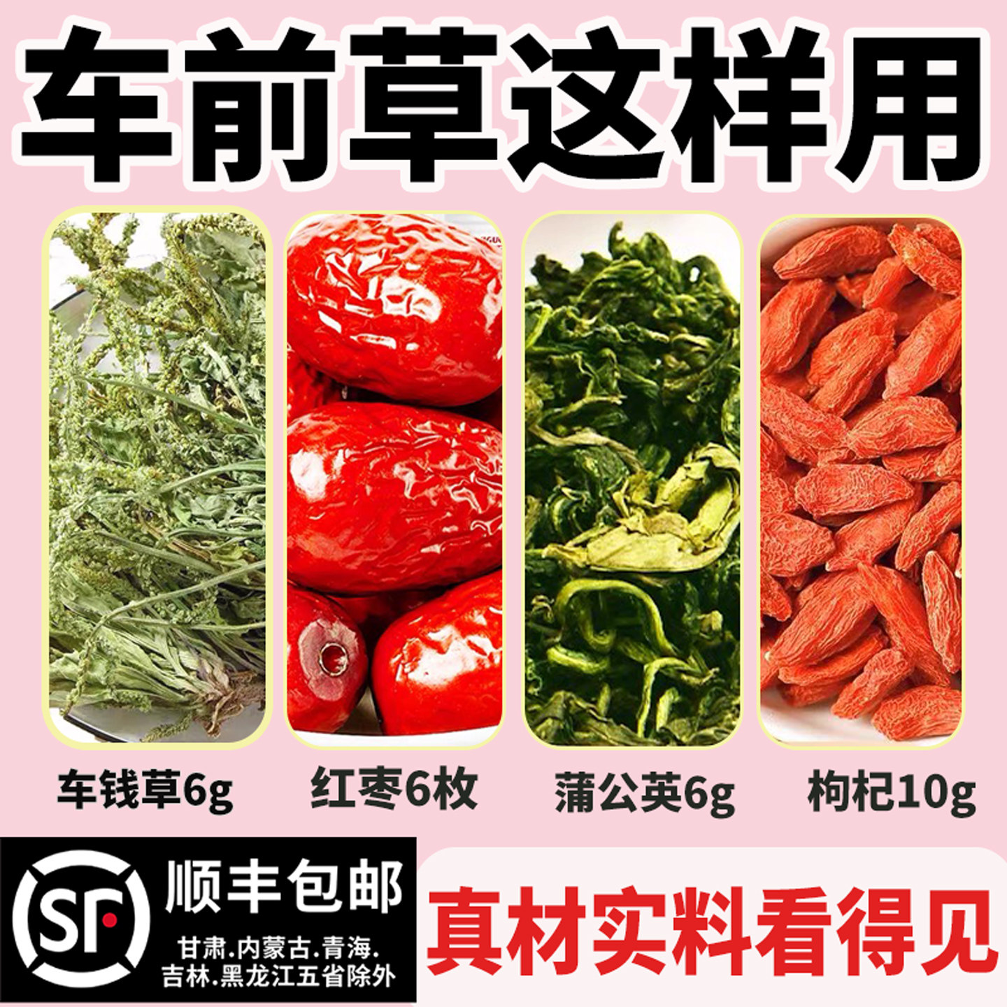车前草6g蒲公英6g枸杞10g克红枣6枚组合原材料独立包装煮水泡水