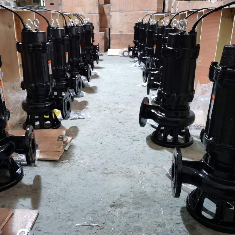 22千瓦潜污泵100WQ100-40-22kw大功率污水处理厂输送泵离心潜水泵