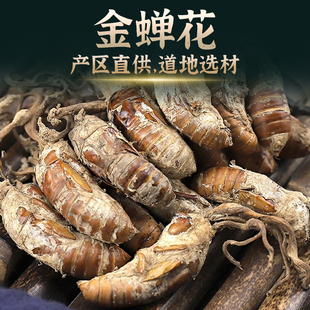金蝉花中药饮片知了花知了蝉花虫草孢子粉金蚕花婵花打粉药材正品