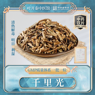 千里光中药饮片正品中草药材千里光泡水小孩洗澡九里一扫光黄花母