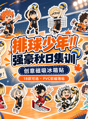 排球少年磁性冰箱贴可爱创意贴